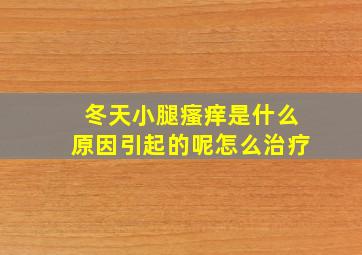 冬天小腿瘙痒是什么原因引起的呢怎么治疗