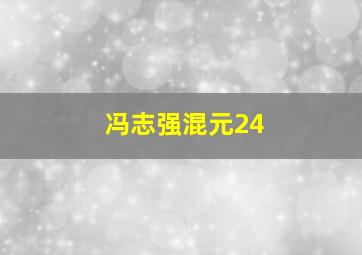 冯志强混元24