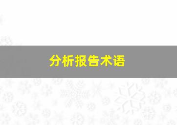 分析报告术语