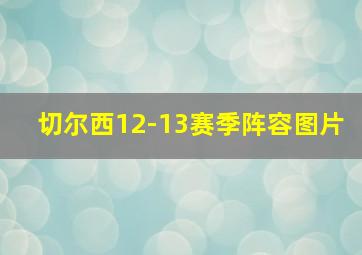 切尔西12-13赛季阵容图片