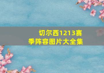 切尔西1213赛季阵容图片大全集