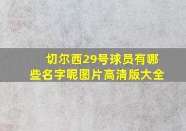 切尔西29号球员有哪些名字呢图片高清版大全