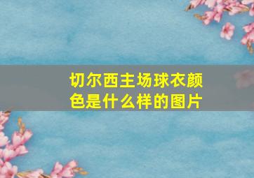 切尔西主场球衣颜色是什么样的图片