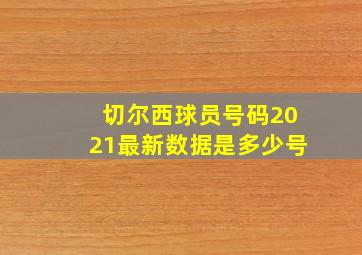 切尔西球员号码2021最新数据是多少号