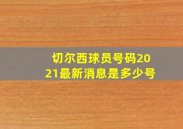 切尔西球员号码2021最新消息是多少号