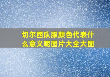 切尔西队服颜色代表什么意义呢图片大全大图