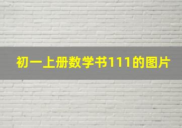 初一上册数学书111的图片