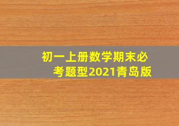 初一上册数学期末必考题型2021青岛版