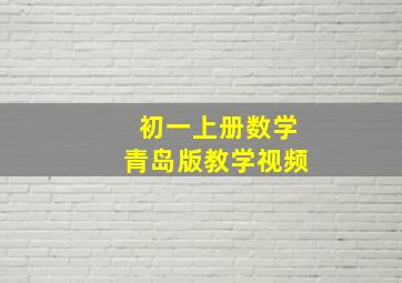 初一上册数学青岛版教学视频