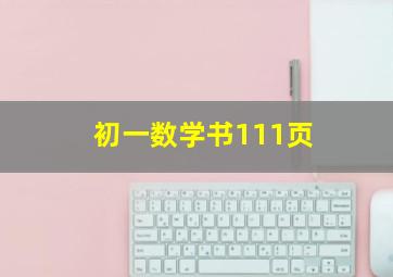 初一数学书111页