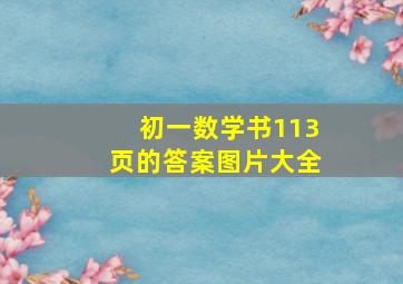 初一数学书113页的答案图片大全