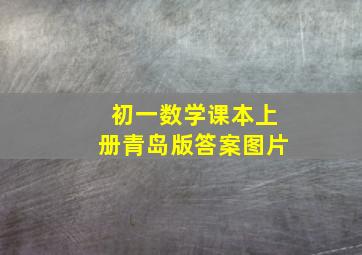 初一数学课本上册青岛版答案图片