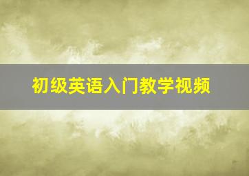 初级英语入门教学视频