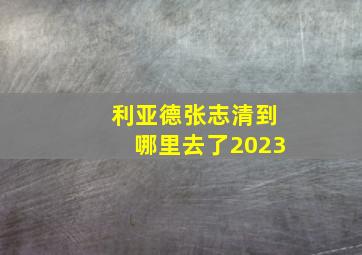 利亚德张志清到哪里去了2023