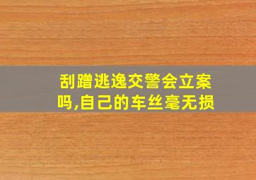 刮蹭逃逸交警会立案吗,自己的车丝毫无损