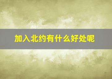 加入北约有什么好处呢