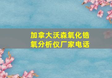 加拿大沃森氧化锆氧分析仪厂家电话