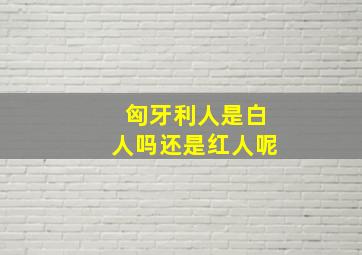 匈牙利人是白人吗还是红人呢