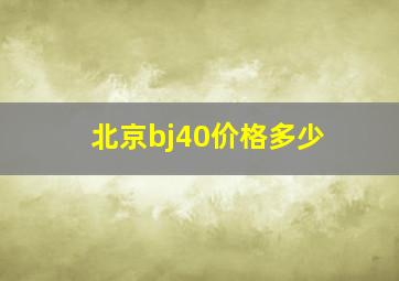 北京bj40价格多少