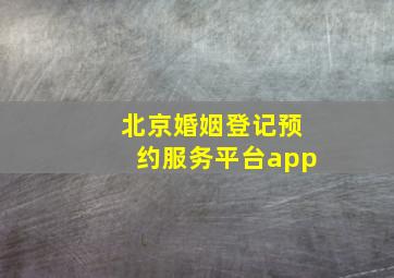 北京婚姻登记预约服务平台app