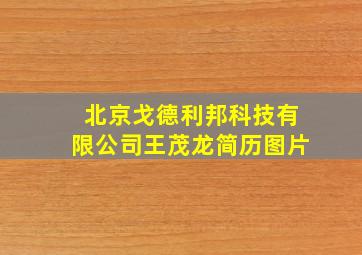 北京戈德利邦科技有限公司王茂龙简历图片