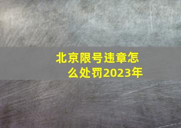 北京限号违章怎么处罚2023年