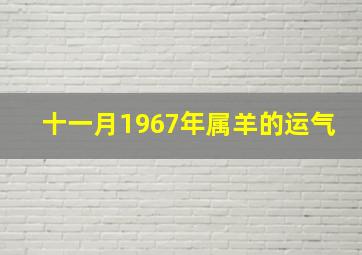 十一月1967年属羊的运气