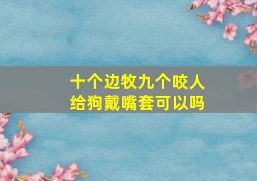 十个边牧九个咬人给狗戴嘴套可以吗