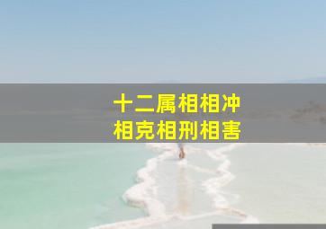 十二属相相冲相克相刑相害