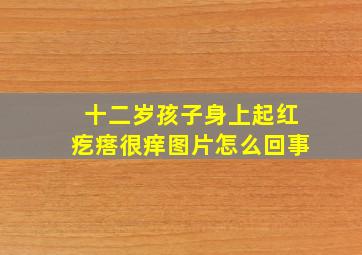 十二岁孩子身上起红疙瘩很痒图片怎么回事