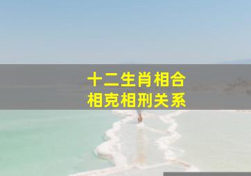 十二生肖相合相克相刑关系