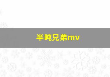 半吨兄弟mv