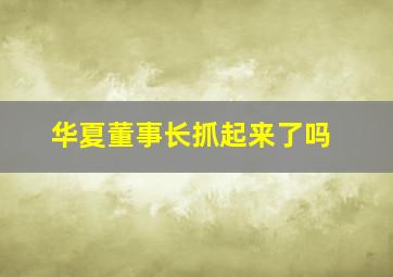 华夏董事长抓起来了吗