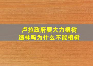 卢拉政府要大力植树造林吗为什么不能植树