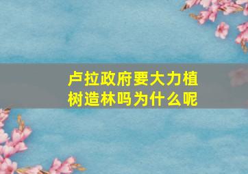 卢拉政府要大力植树造林吗为什么呢