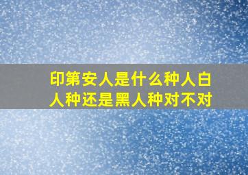 印第安人是什么种人白人种还是黑人种对不对