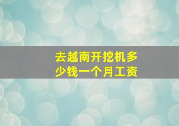 去越南开挖机多少钱一个月工资