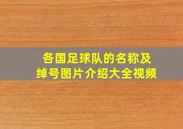 各国足球队的名称及绰号图片介绍大全视频