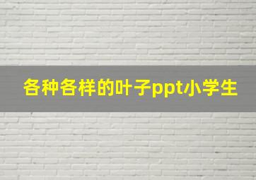 各种各样的叶子ppt小学生