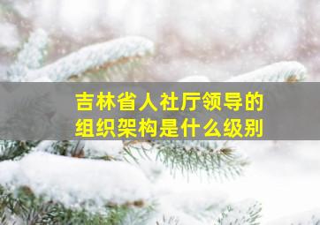 吉林省人社厅领导的组织架构是什么级别