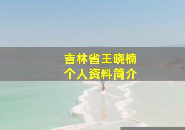 吉林省王晓楠个人资料简介