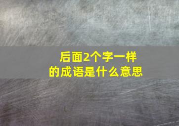 后面2个字一样的成语是什么意思