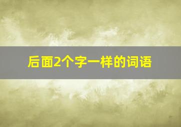 后面2个字一样的词语