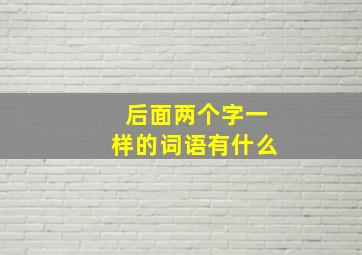 后面两个字一样的词语有什么