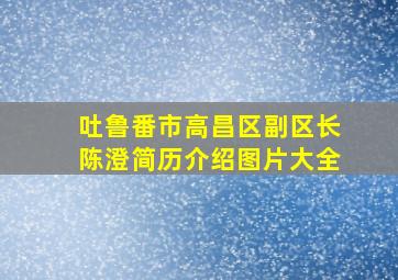 吐鲁番市高昌区副区长陈澄简历介绍图片大全