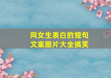 向女生表白的短句文案图片大全搞笑