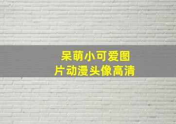 呆萌小可爱图片动漫头像高清