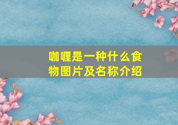 咖喱是一种什么食物图片及名称介绍