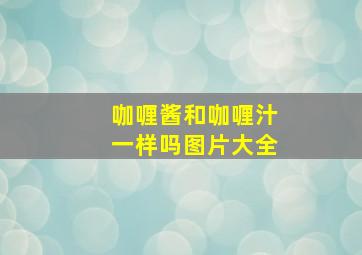 咖喱酱和咖喱汁一样吗图片大全