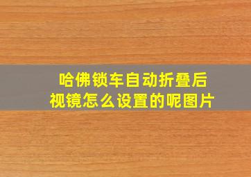 哈佛锁车自动折叠后视镜怎么设置的呢图片